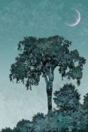 Elm Tree Twilight, digital collage