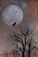 Moonlight Flight, digital collage