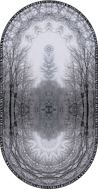 A Winter's Dream. botanical mandala