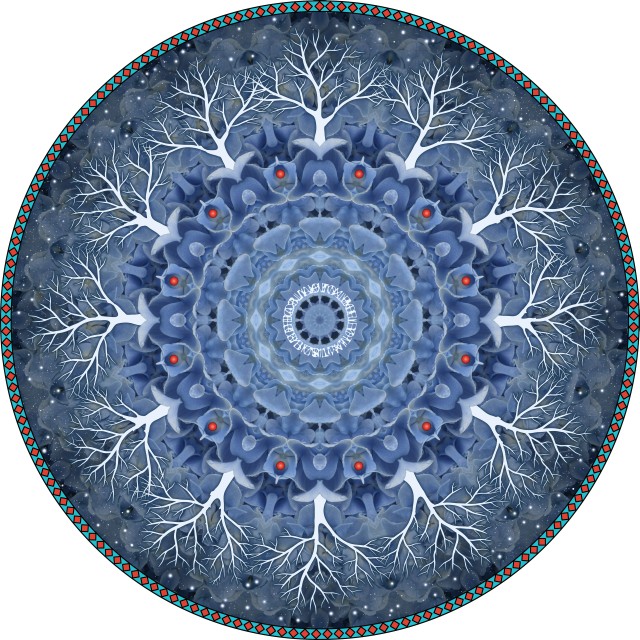 Hydrangea Treecircle. botanical mandala