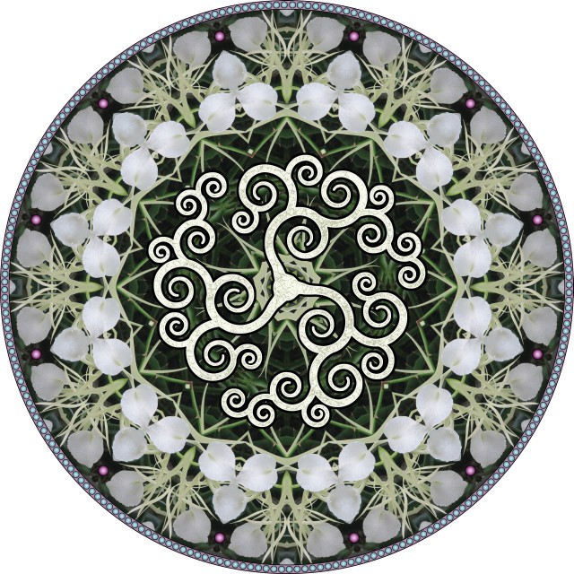 Spiral Tree Triskele. botanical mandala