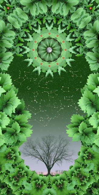Vernal Equinox. botanical mandala