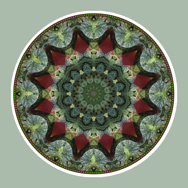 Frog Circle, Mandala Art