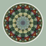 Monarch Circle, mandala art