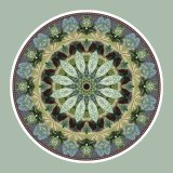Turtle Flower, mandala art