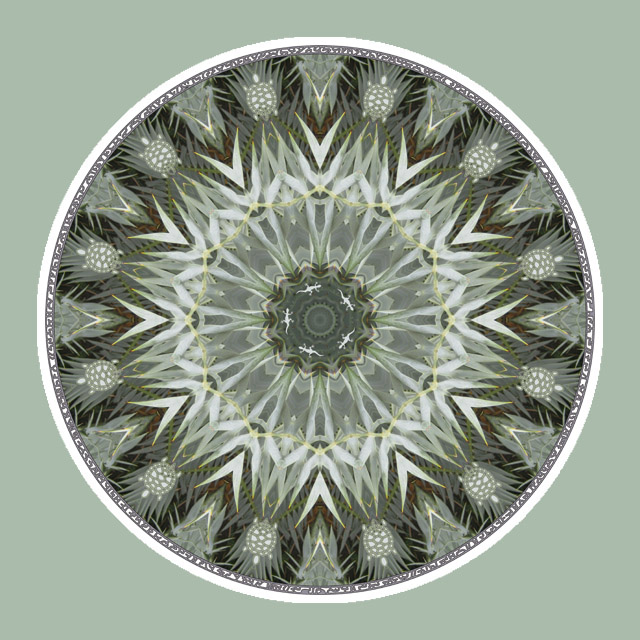 Gecko Turtlewheel, Mandala Art