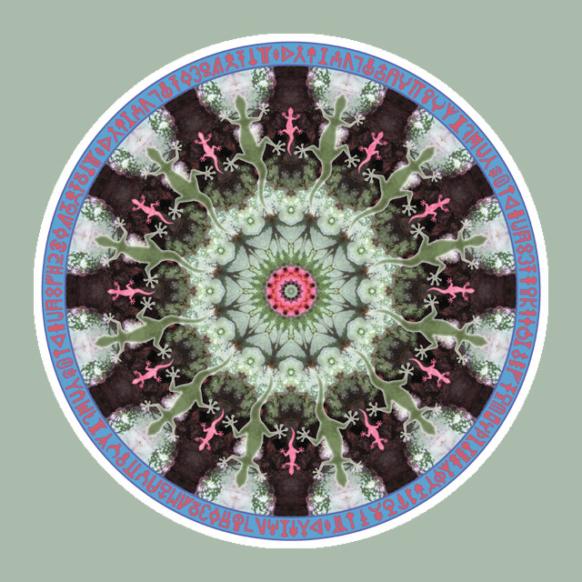 Pink Geckowheel, Mandala Art