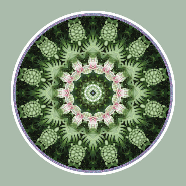 Turtlestories, Mandala Art