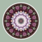 Mandala Art