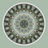 Mandala Art