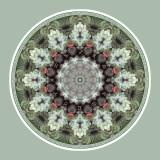 Mandala Art