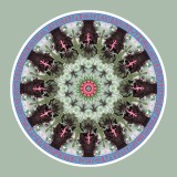 Mandala Art