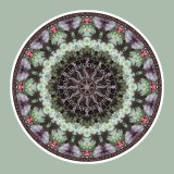 Mandala Art