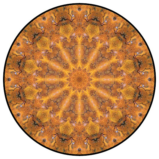 botanical mandala, mandala art