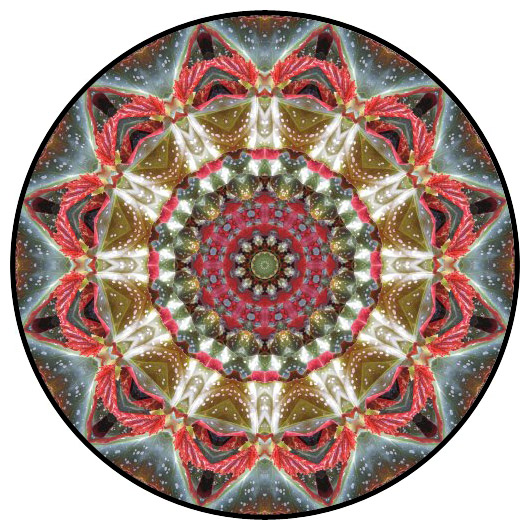 botanical mandala, mandala art