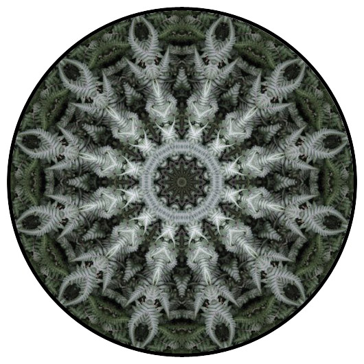 botanical mandala, mandala art