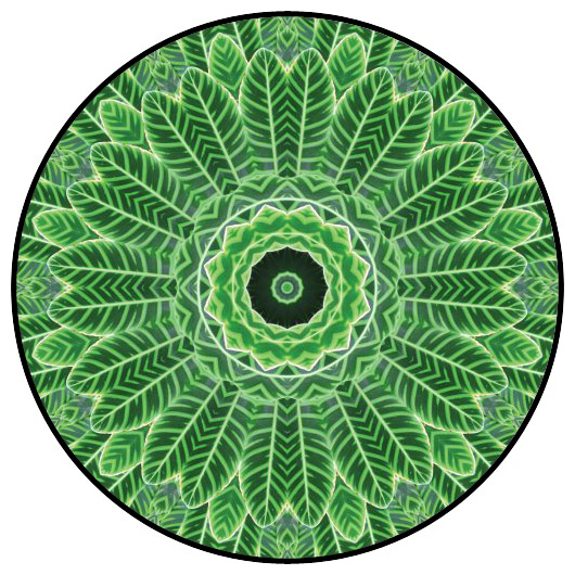 botanical mandala, mandala art
