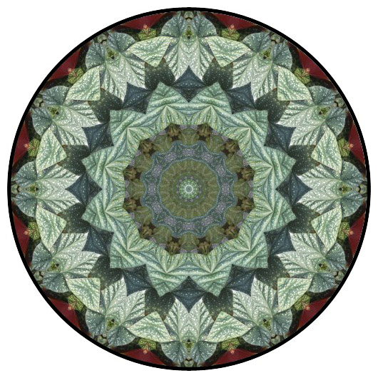botanical mandala, mandala art