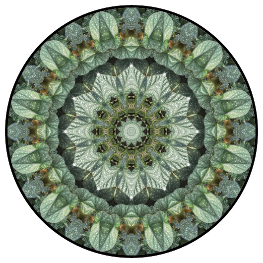 botanical mandala, mandala art