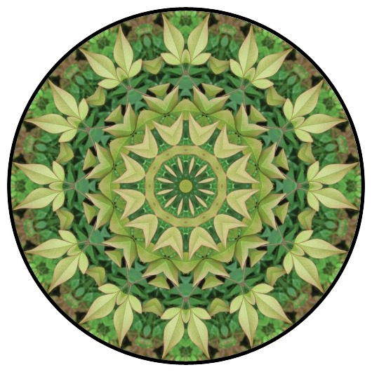 botanical mandala, mandala art