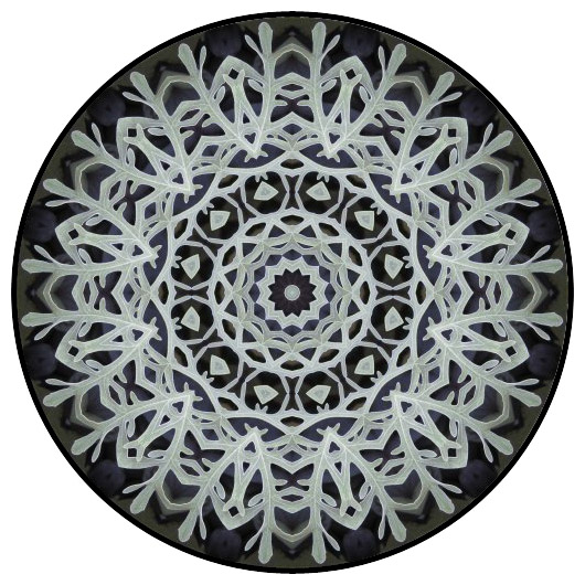 botanical mandala, mandala art