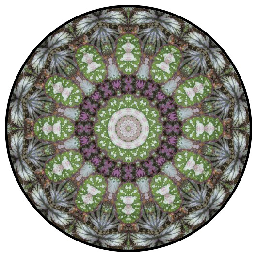botanical mandala, mandala art