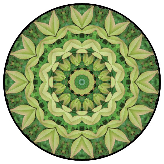 botanical mandala, mandala art