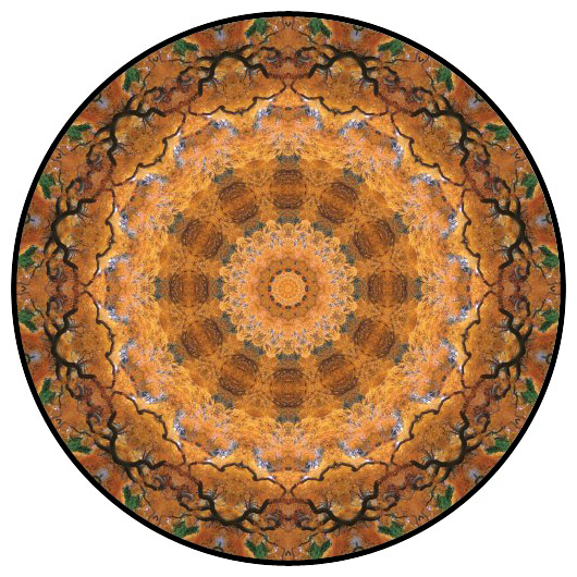 botanical mandala, mandala art