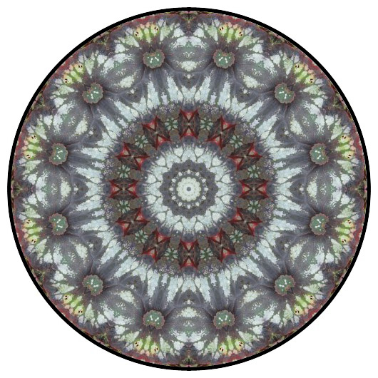 botanical mandala, mandala art