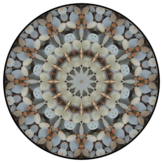 botanical mandala, mandala art