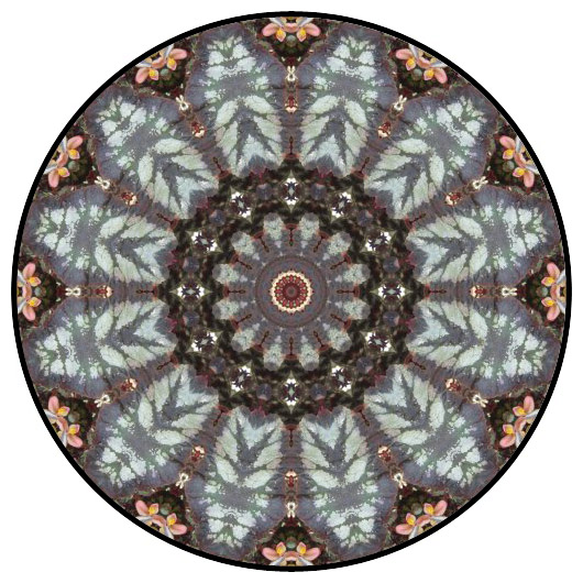 botanical mandala, mandala art