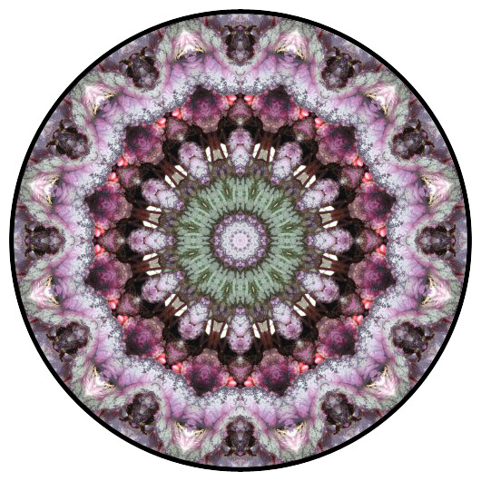 botanical mandala, mandala art