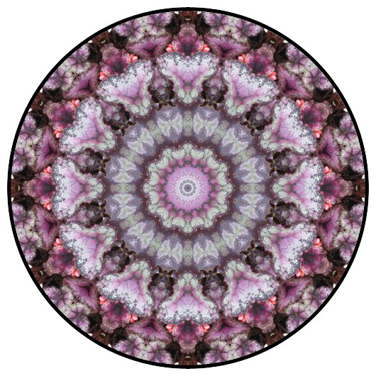botanical mandala, mandala art