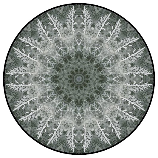 botanical mandala, mandala art
