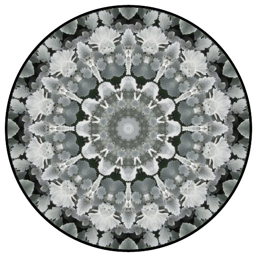 botanical mandala, mandala art