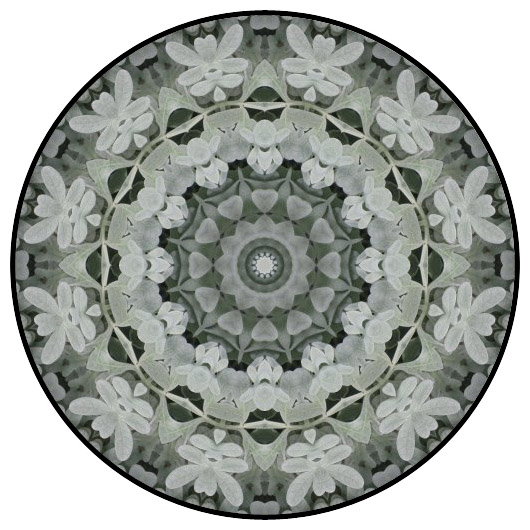 botanical mandala, mandala art
