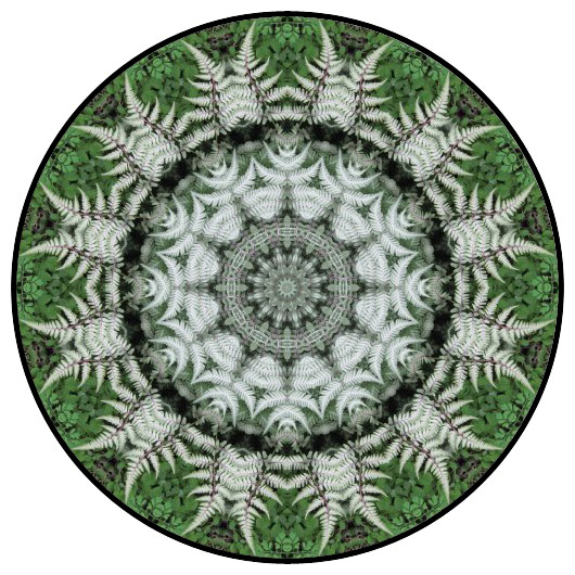 botanical mandala, mandala art