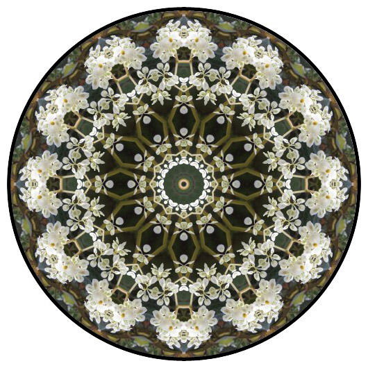 botanical mandala, mandala art