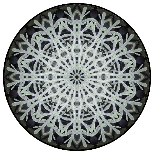 botanical mandala, mandala art