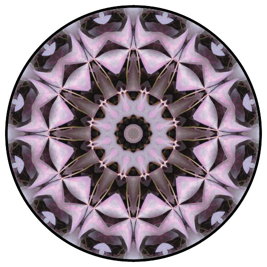 botanical mandala, mandala art
