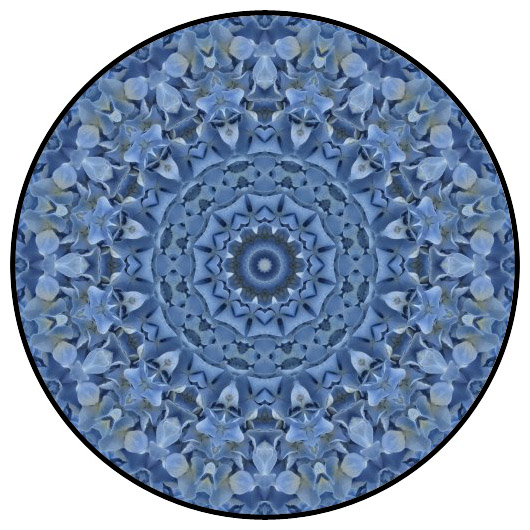 botanical mandala, mandala art