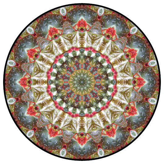 botanical mandala, mandala art
