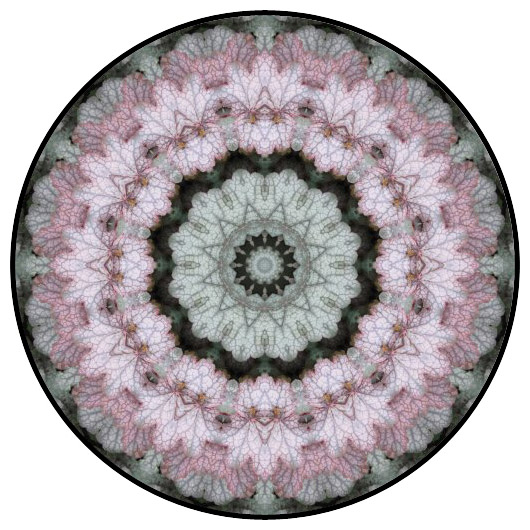 botanical mandala, mandala art