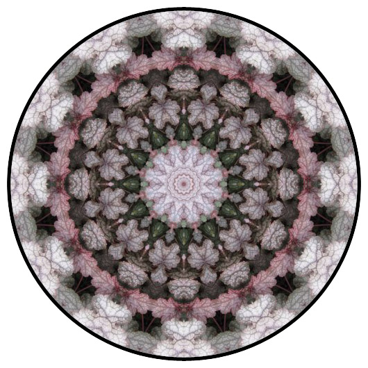 botanical mandala, mandala art