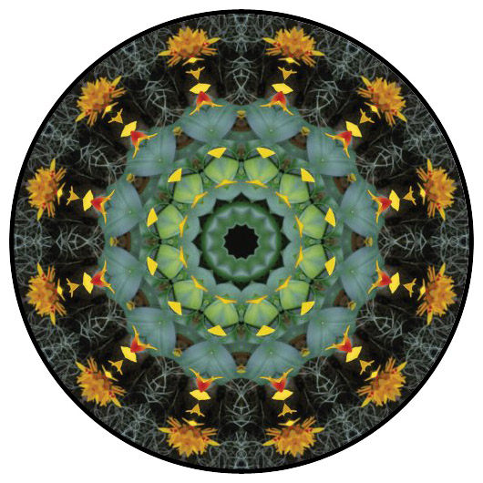 botanical mandala, mandala art