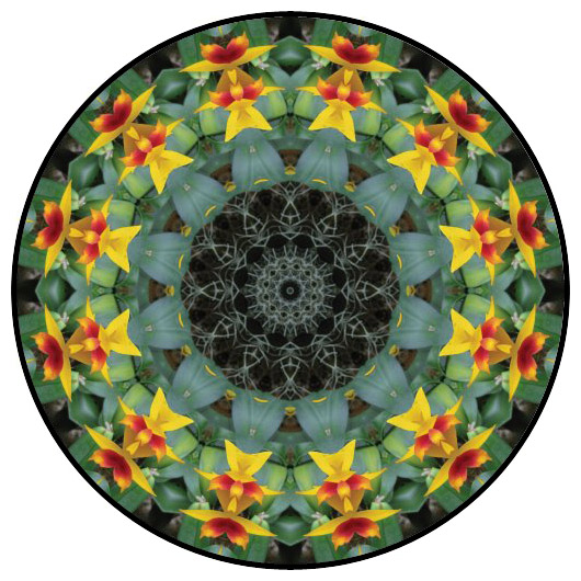 botanical mandala, mandala art