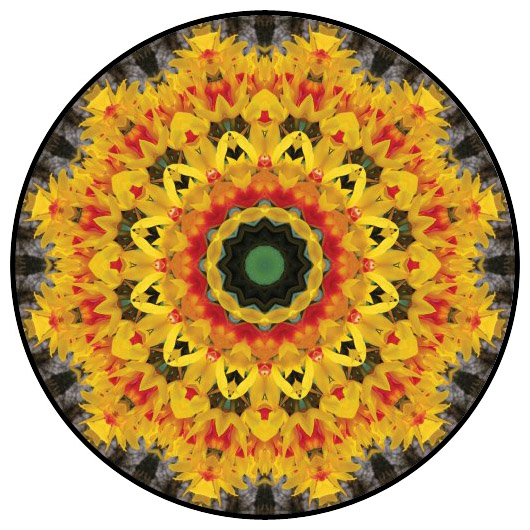 botanical mandala, mandala art