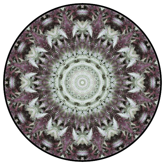 botanical mandala, mandala art