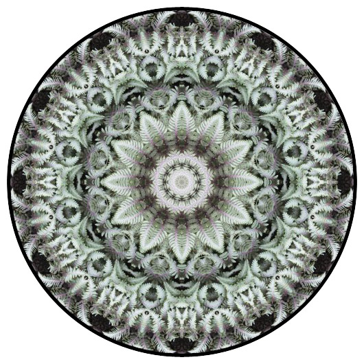 botanical mandala, mandala art