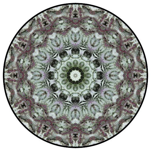 botanical mandala, mandala art
